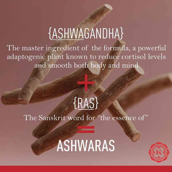 Ashwaras Replenishing Body Oil