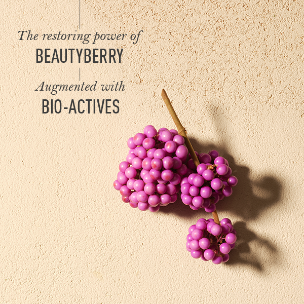 Urjasara Moisturising & Plumping Water Cream