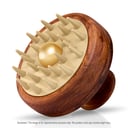 Kansa Brush
