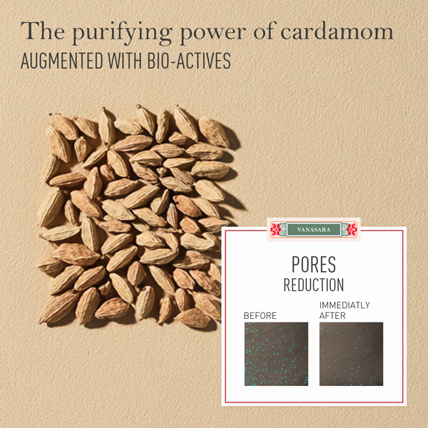 Vanasara Cardamom Purifying Mud Mask